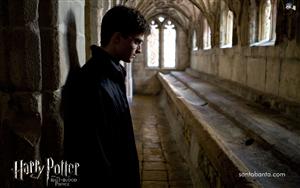 Harry Potter and the Half Blood Prince Harry Potter and the Half Blood Prince